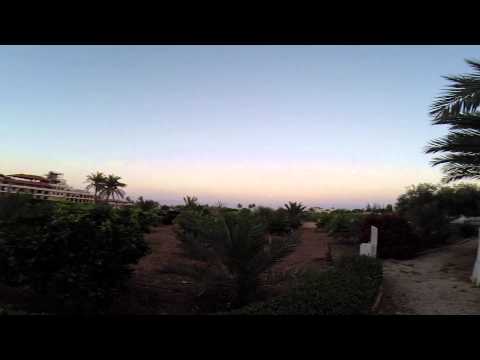 Video of Auberg-Inn: The House of Eggplants