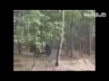 +100500 ХОУЛИ ФАКИН ЩИТ