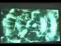 earthquake and tsunami simulation from Valparaiso, Chile