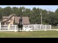 Amy & Ozzie Holly Hill Dressage April 2012