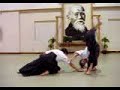 jamie sensei in aiki action