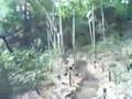 紅葉の季節の武蔵小金井・滄浪泉園