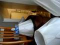 Armenia Prank on teh Stanz..