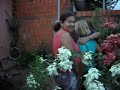 TIAS