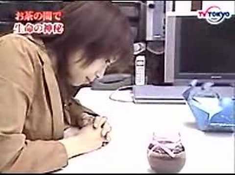 Lucky fish (Euroasia Trade S.L)