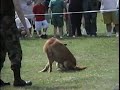 1993 K9 MP Dog Demonstration Fort Bragg Military Working Dog
