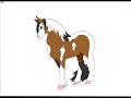 horse animation