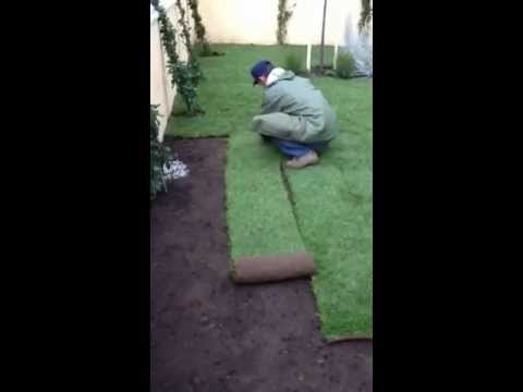 Realizzazione giardino privato - Ciampino (RM) Novembre 2012