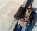skate ceok