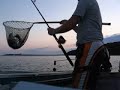 One Man Fishing Show Part III
