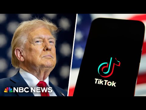 Trump asks Supreme Court to pause law that could ban TikTok | weehingthong