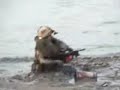 Visadka NATO Visadka NATO