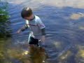 Nessy's( noah little) swamp life