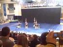 Delaware 2008 State Champions! HVT Cheerleading!