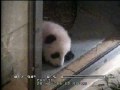 2009-11-20 Yun Zi: Watch Me Go!!
