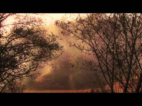 how to meditate yourself