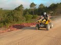 Carregueira/Sintra
