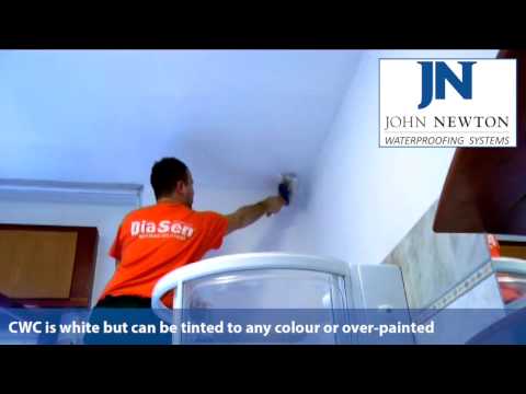 how to treat damp