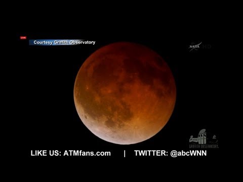 'Blood Moon' Captivates Stargazers