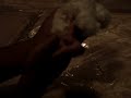carzy ass dick