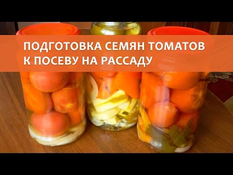 Подготовка и посев семян томатов на рассаду 64
