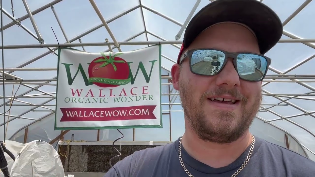Giant Pumpkin Irrigation