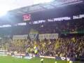 Brøndby Tifo Inferno bif - fcm 3-0 26/10-08
