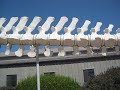 Blue Whale Skeleton largest animial on Earth Jack D Deal Internet Videos