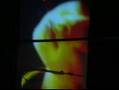 YouTube - gong gong