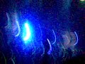 Lichtjahre Tour Mexico - Ich Bin der Brennen... - Lacrimosa