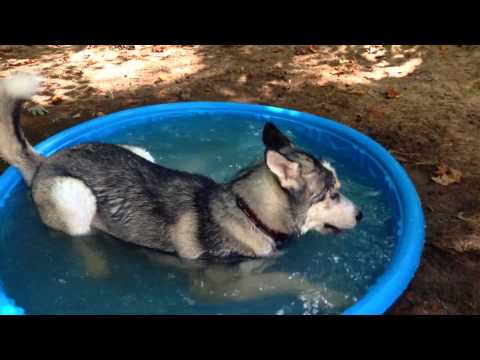 Play YouTube video