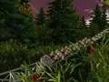 Windigo Teaser - NoLimits Coaster