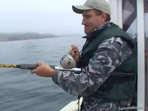 рыбалка на гигантского палтуса цена камчатка рыбалка на гигантского палтуса цена камчатка