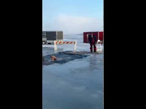 See video