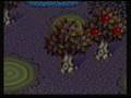 Rashi's Adventures 8 - Rashi is Trick or Treated!