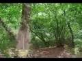 Al-I'tiroof, Prayer of Repentance or Doa Taubat by Junied Nasheed, Singapore