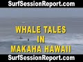 WHALE TALE greetings at 2008 Ku Ikaika