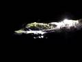 videos de Mount Elgon