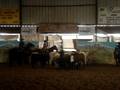 videos de kristin ncha cutting