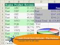 MrExcel's Learn Excel #505 - Wildcard CountIf