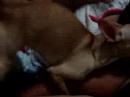 [Video]