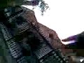 videos PBT VII
