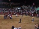 Cebreros - Vaca del aguardiente 2008 fiestas de agosto