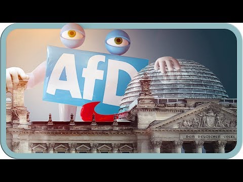 Was die AfD bisher im Bundestag geleistet hat