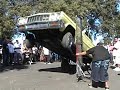 impala hop impala hop