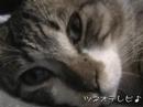 幼少の頃のピッピ2♪