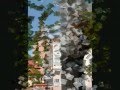 videos de Sibiu Home of Red Bull Romaniacs