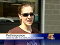Health Insurance for Pets
