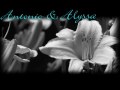 Wedding Slideshow