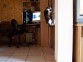 Poesie opent de deur